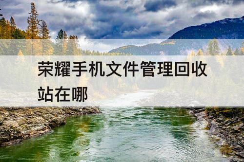 荣耀手机文件管理回收站在哪
