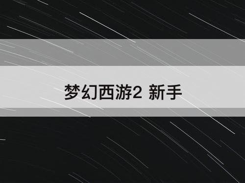 梦幻西游2 新手