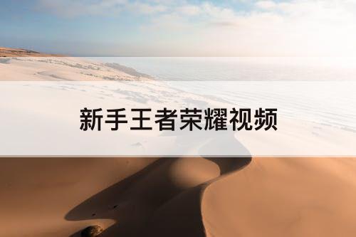 新手王者荣耀视频