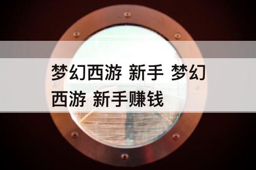 梦幻西游 新手 梦幻西游 新手赚钱