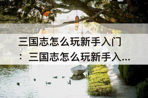 三国志怎么玩新手入门：三国志怎么玩新手入门线下