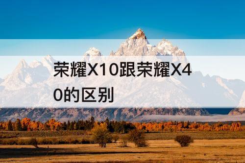 荣耀X10跟荣耀X40的区别