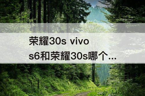荣耀30s vivos6和荣耀30s哪个好