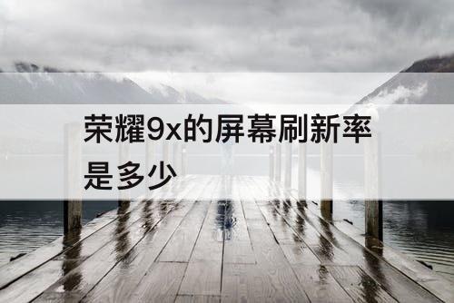 荣耀9x的屏幕刷新率是多少