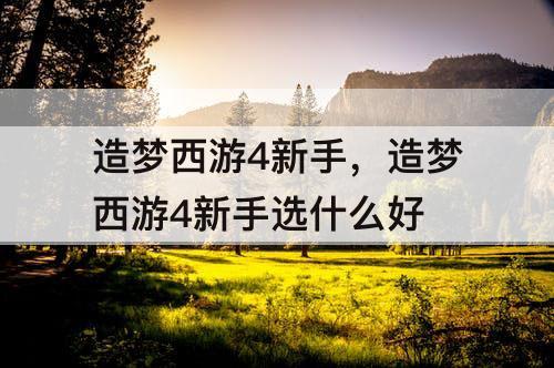 造梦西游4新手，造梦西游4新手选什么好