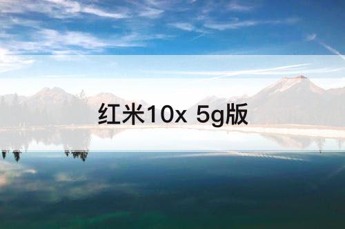 红米10x 5g版