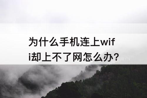 为什么手机连上wifi却上不了网怎么办?