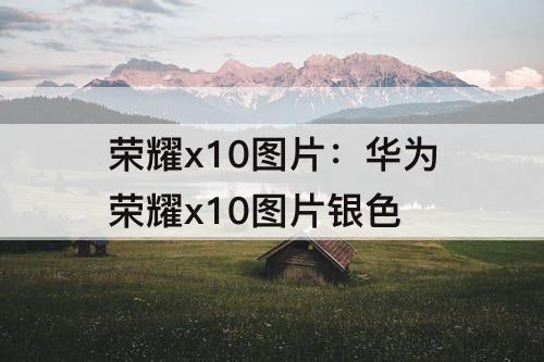 荣耀x10图片：华为荣耀x10图片银色