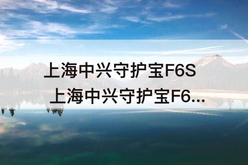 上海中兴守护宝F6S 上海中兴守护宝F6S手机是山寨货呢?还是正品手机?