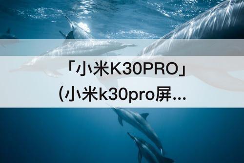 「小米K30PRO」(小米k30pro屏幕刷新率怎么调)