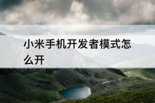 小米手机开发者模式怎么开