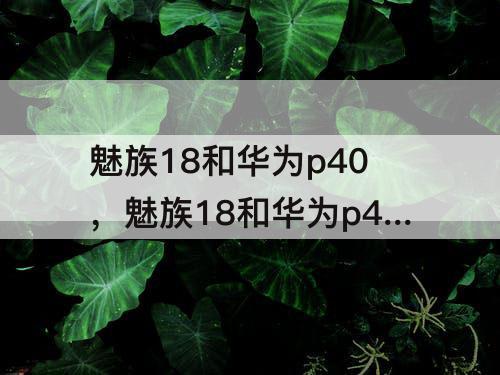魅族18和华为p40，魅族18和华为p40哪个好