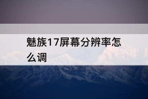 魅族17屏幕分辨率怎么调