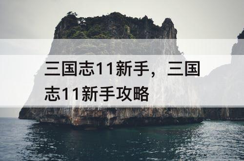三国志11新手，三国志11新手攻略