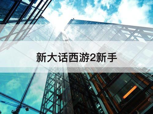 新大话西游2新手