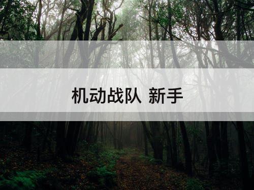 机动战队 新手