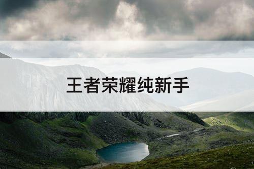 王者荣耀纯新手