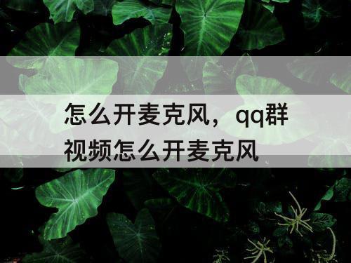 怎么开麦克风，qq群视频怎么开麦克风