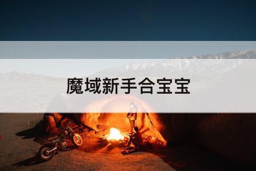 魔域新手合宝宝