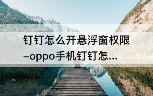 钉钉怎么开悬浮窗权限-oppo手机钉钉怎么开悬浮窗权限