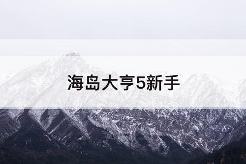 海岛大亨5新手