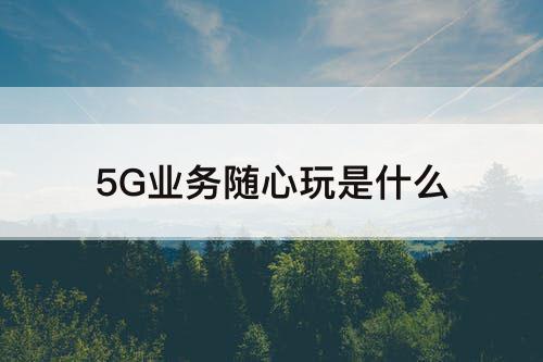 5G业务随心玩是什么