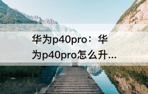 华为p40pro：华为p40pro怎么升级鸿蒙系统