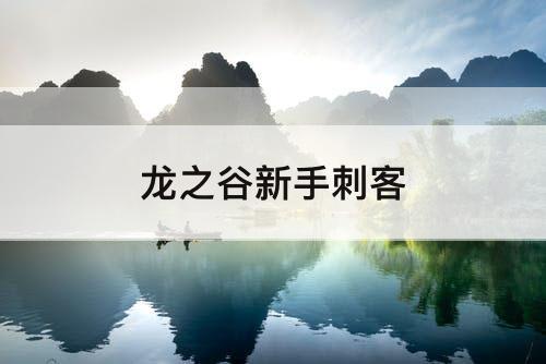 龙之谷新手刺客