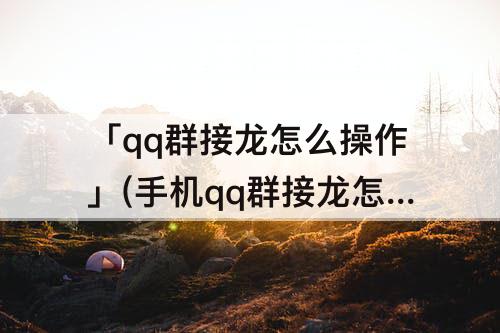 「qq群接龙怎么操作」(手机qq群接龙怎么操作)