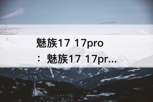 魅族17 17pro：魅族17 17pro续航对比