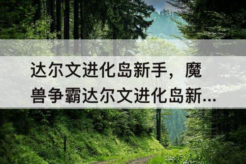 达尔文进化岛新手，魔兽争霸达尔文进化岛新手攻略