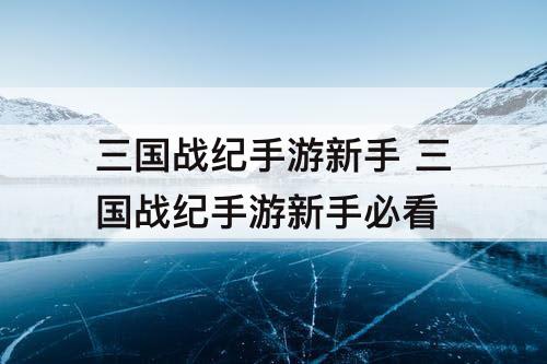 三国战纪手游新手 三国战纪手游新手必看