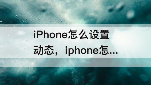 iPhone怎么设置动态，iphone怎么设置动态屏保