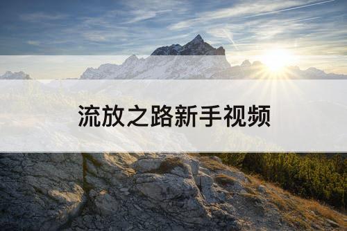 流放之路新手指南
