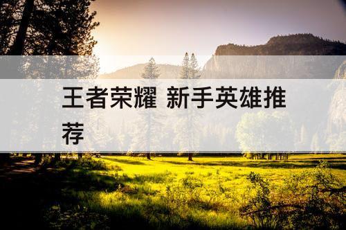 王者荣耀 新手英雄推荐