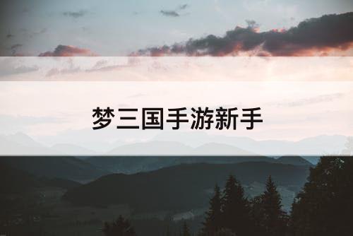 梦三国手游新手