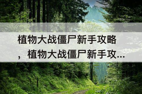 植物大战僵尸新手攻略，植物大战僵尸新手攻略科技