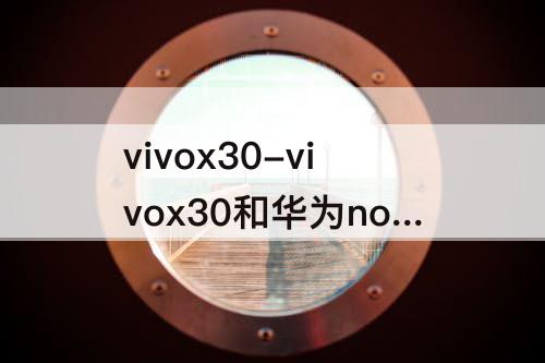 vivox30-vivox30和华为nova6哪个好