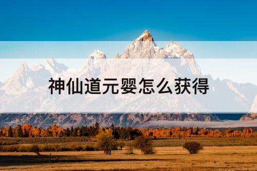 神仙道元婴怎么获得