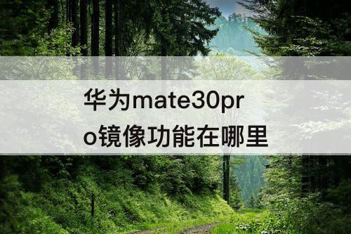 华为mate30pro镜像功能在哪里