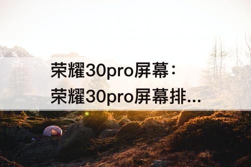 荣耀30pro屏幕：荣耀30pro屏幕排列怎么看