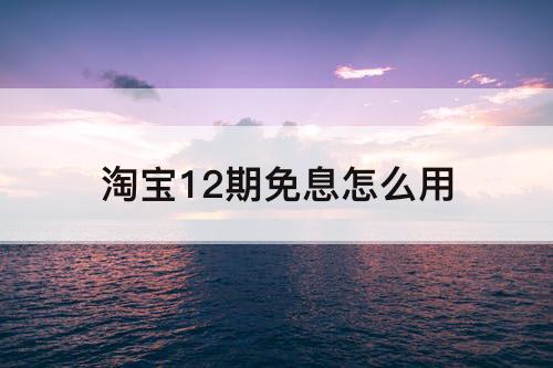 淘宝12期免息怎么用