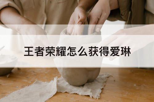 王者荣耀怎么获得爱琳