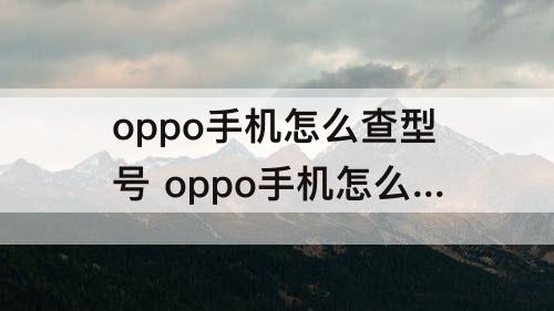 oppo手机怎么查型号 oppo手机怎么查型号密码忘了