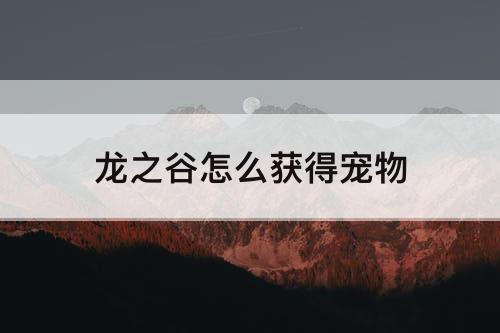 龙之谷怎么获得宠物
