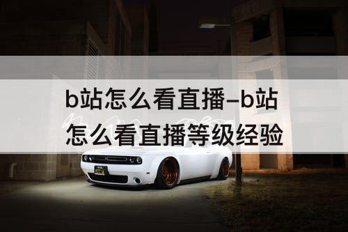 b站怎么看直播-b站怎么看直播等级经验