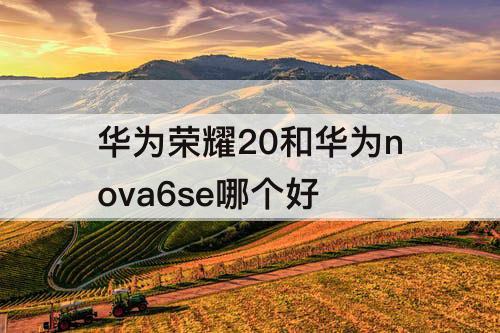华为荣耀20和华为nova6se哪个好
