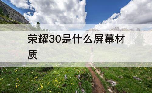 荣耀30是什么屏幕材质
