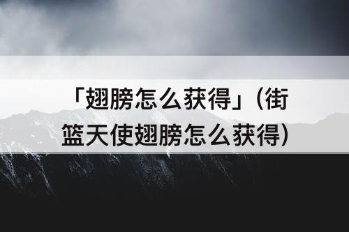 「翅膀怎么获得」(街篮天使翅膀怎么获得)