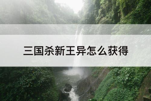 三国杀新王异怎么获得